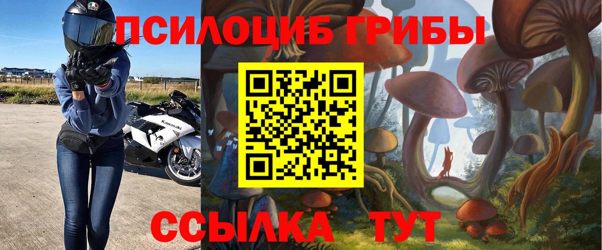 Москва  Галлюциногенные грибы Magic Shrooms  Вход с VPN 