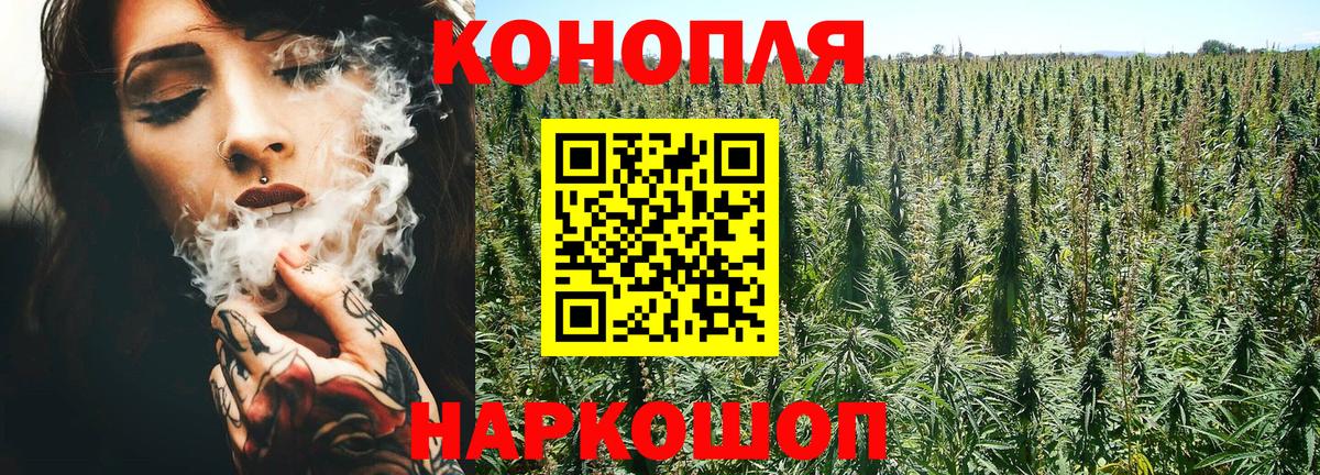 Шишки марихуана конопля Москва